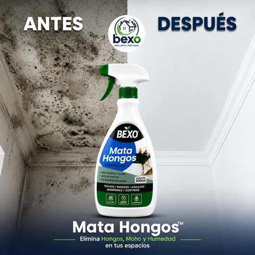 Mata Hongos BEXO antes y después: elimina hongos, moho y humedad
